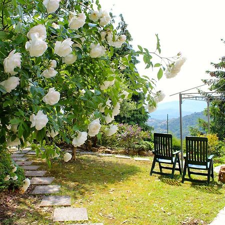 سيبورجا Sb Bed & Breakfast المظهر الخارجي الصورة